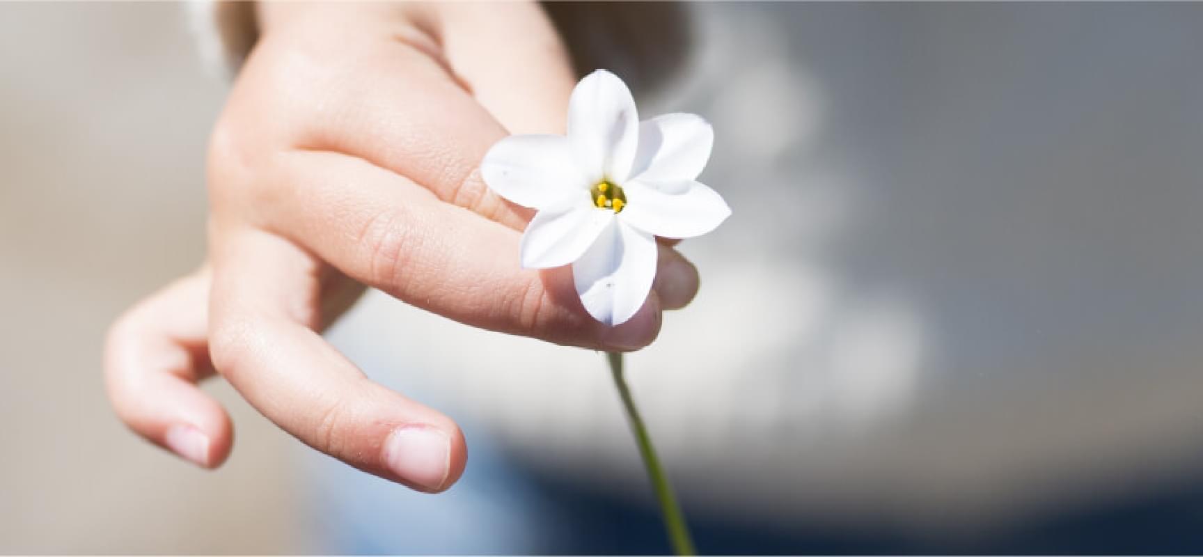 一輪の花を持つ手