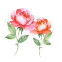 結婚記念日