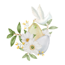 子供・赤ちゃんへのお供え