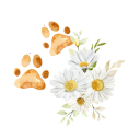 ペットへのお供え花