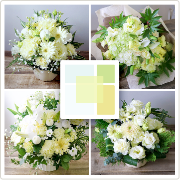 クリーム「きなり」