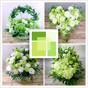 グリーン白「みどり」