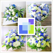 青白「インディゴ」