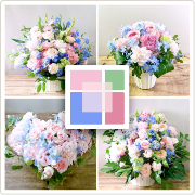 水色ピンク「ファミリア」