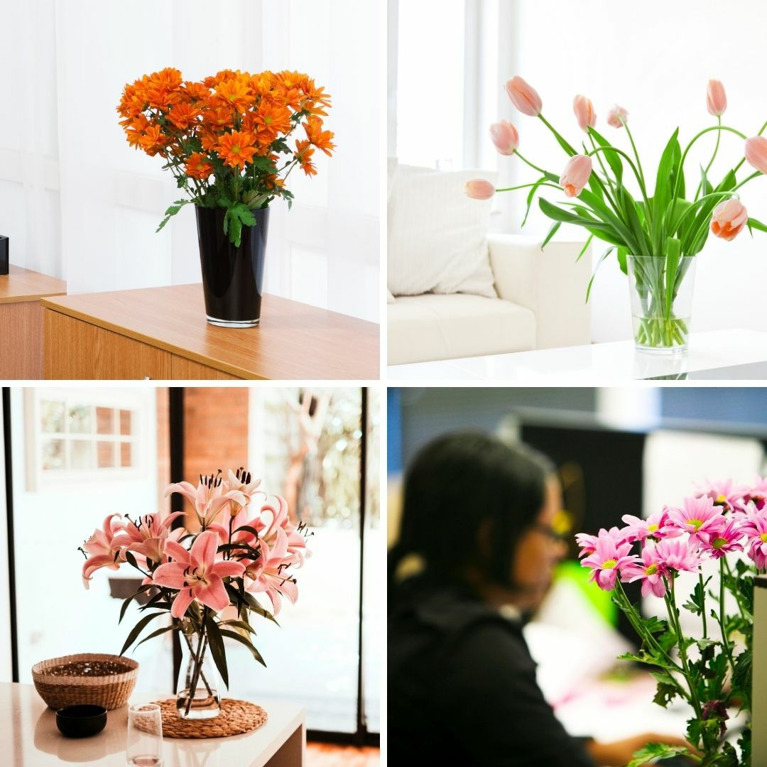 お花の定期便・お花のサブスク。毎月一回、季節のお花が届く花束、フラワーサービス