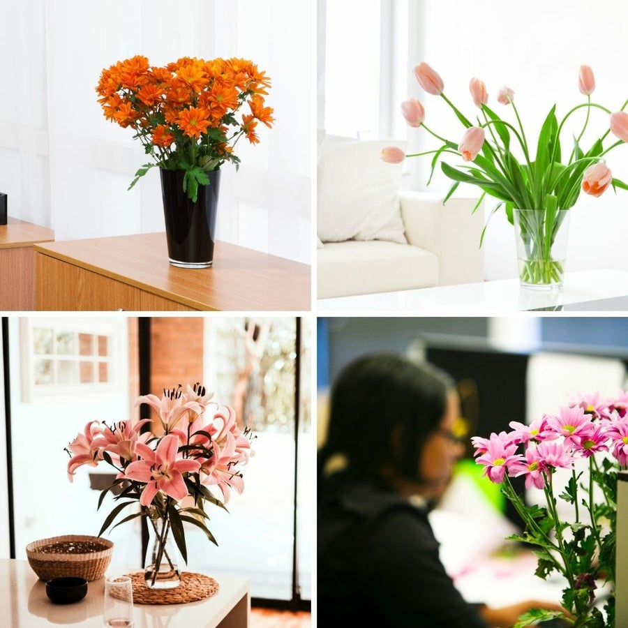 お花の定期便・お花のサブスク。毎月一回、季節のお花が届く花束、フラワーサービス