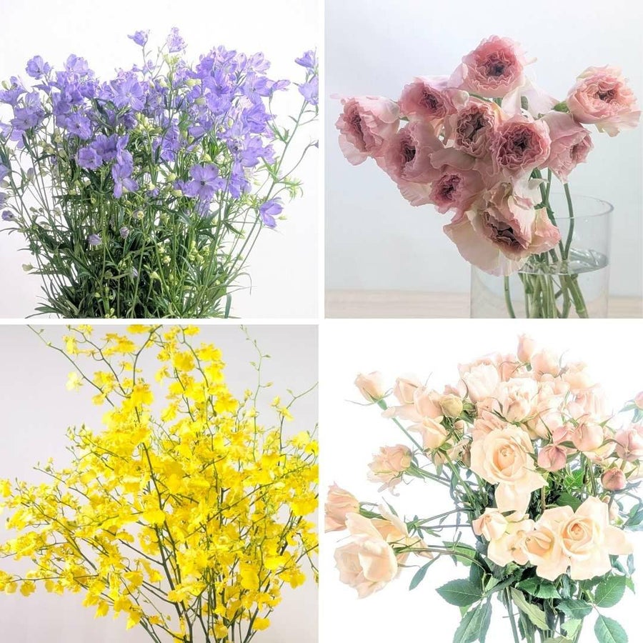 お花の定期便・お花のサブスク。毎月一回、季節のお花が届く花束、フラワーサービス