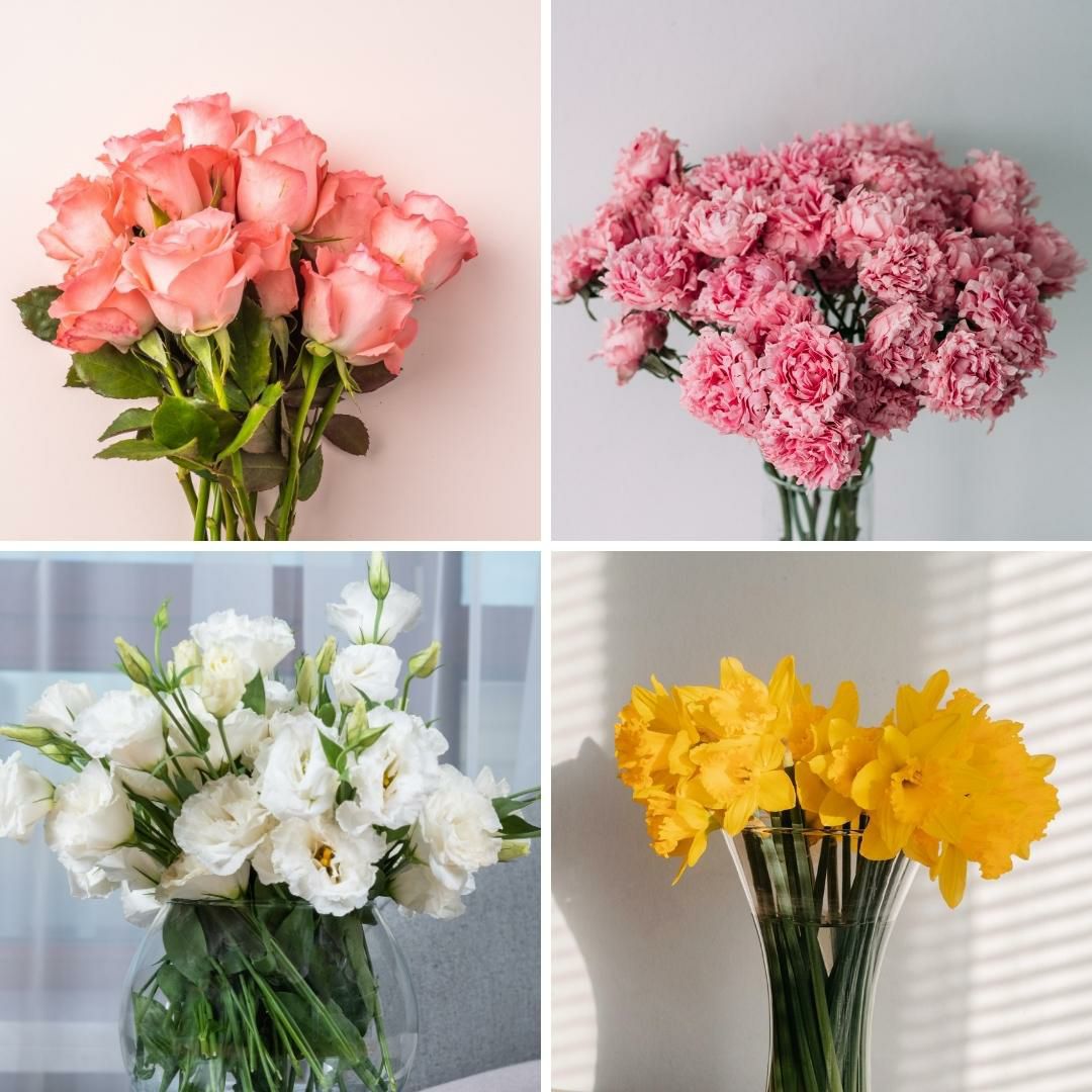 お花の定期便・お花のサブスク。毎月一回、季節のお花が届く花束、フラワーサービス