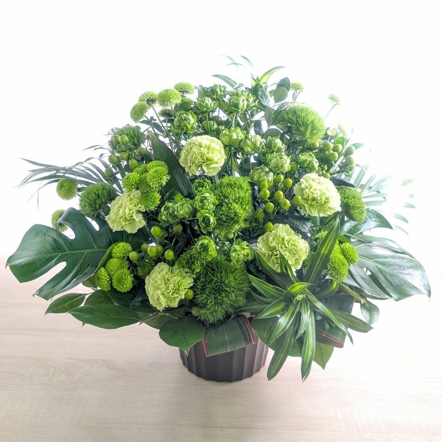 お花のプレゼント、贈り物。グリーン（緑）と白の花束・アレンジメントを贈る。フラワーギフト