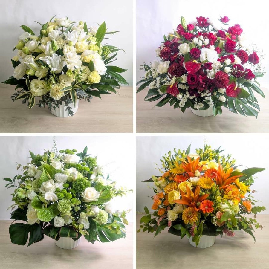 開店祝いの花 アレンジメント 3Lサイズ 高さ60cm