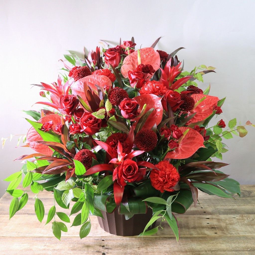 出版祝いのお花。サイン会、会場、作家さん、漫画家さんに贈る、出版、上梓のお祝いに贈る花ギフト