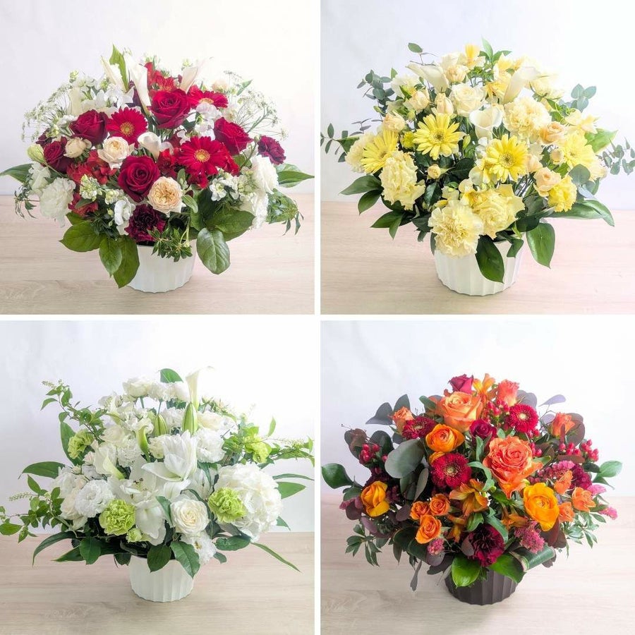 お見舞いの花 自宅療養お見舞い アレンジメント Lサイズ