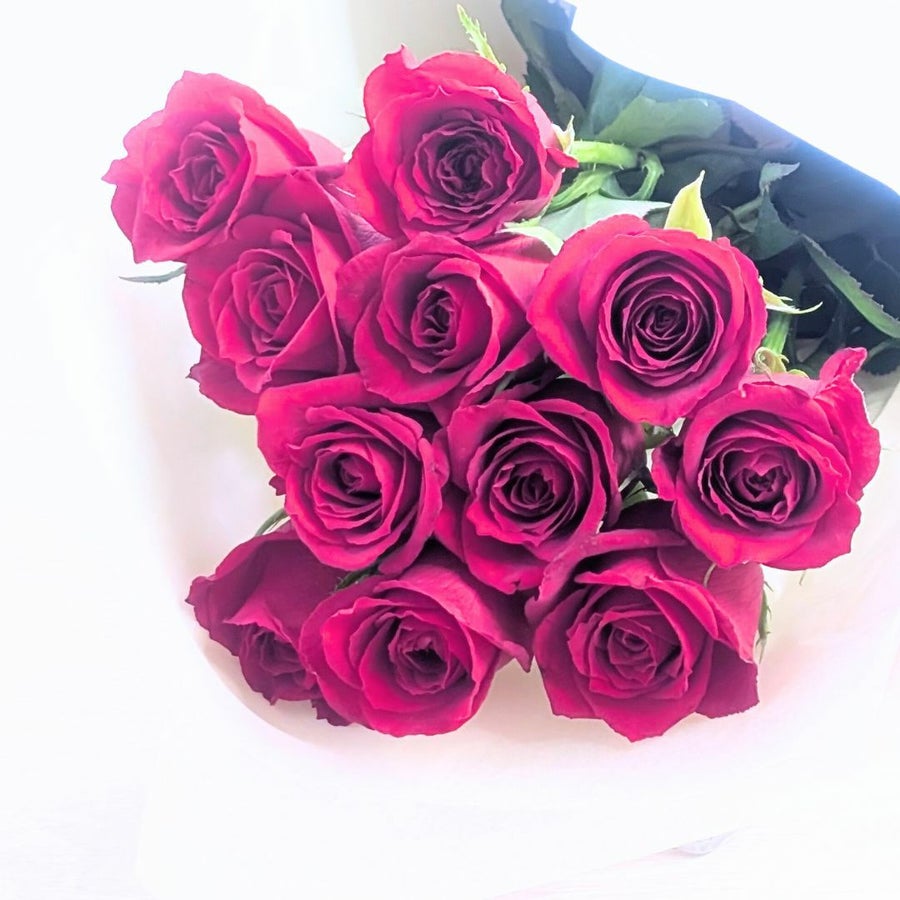 記念の数で贈るバラ。11本のバラの花言葉は「最愛」