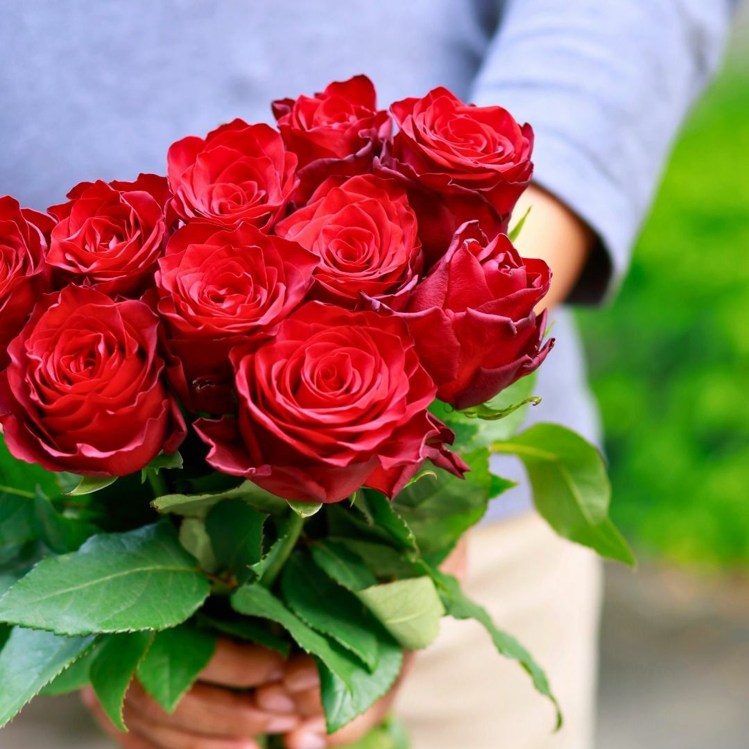 生花ブーケ華やかな花束アレンジメント 520本プロポーズの花束 プロポーズのお花束 とにかく優しく かわいらしい 包容力があって