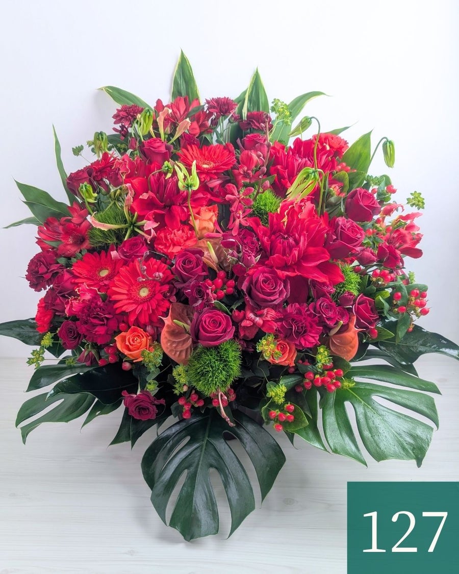 赤色の花、アレンジメント。ビジネスのお祝いに贈るフラワーギフト。