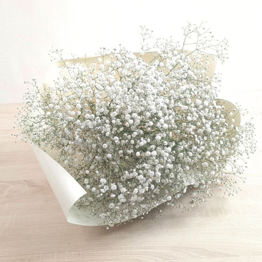 カスミソウの花束、ブーケの贈りもの。カスミソウの花束は「無垢」。