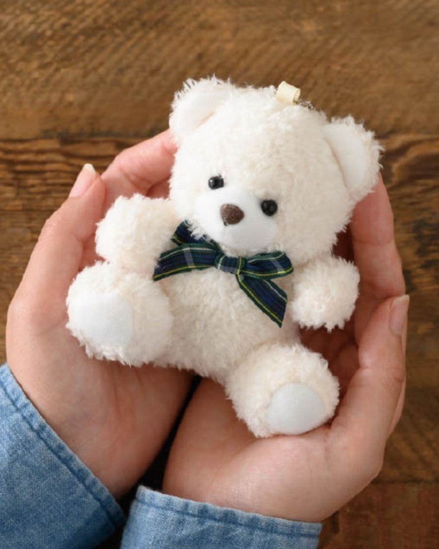 かわいいクマちゃん付のお花。子供のお供え花、優しいお花。贈って喜ばれる生花アレンジメント。