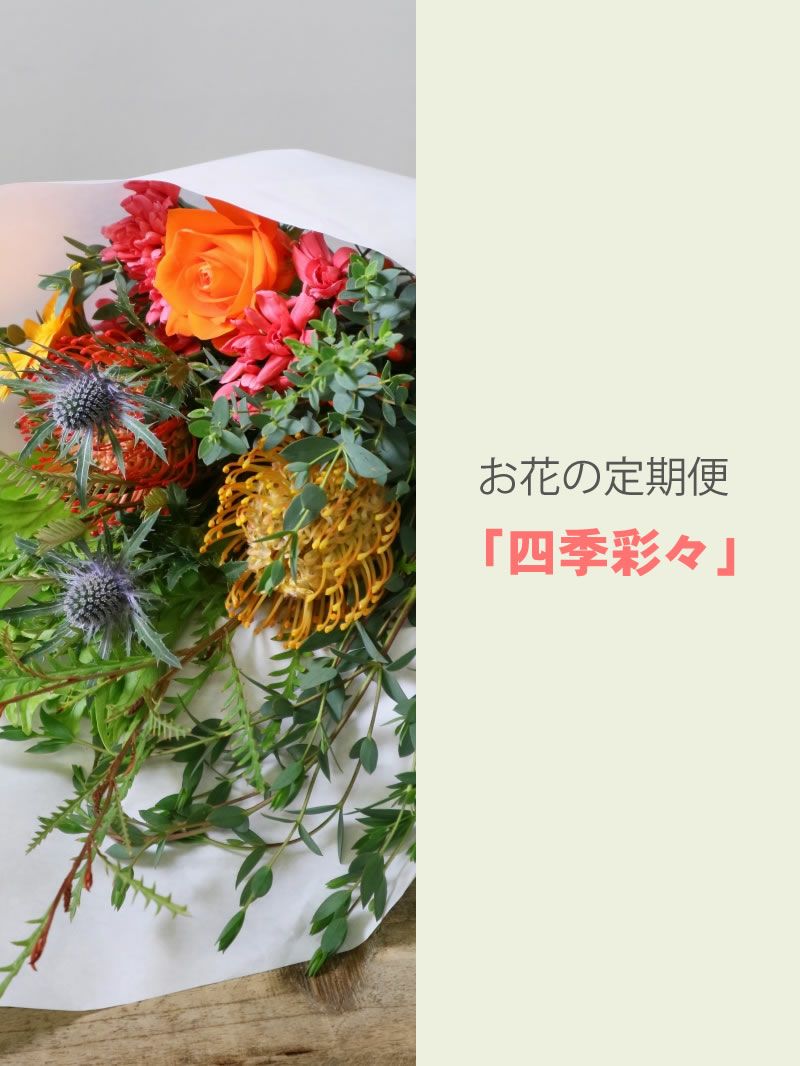 お花の定期便　生花が届くお花のサブスク