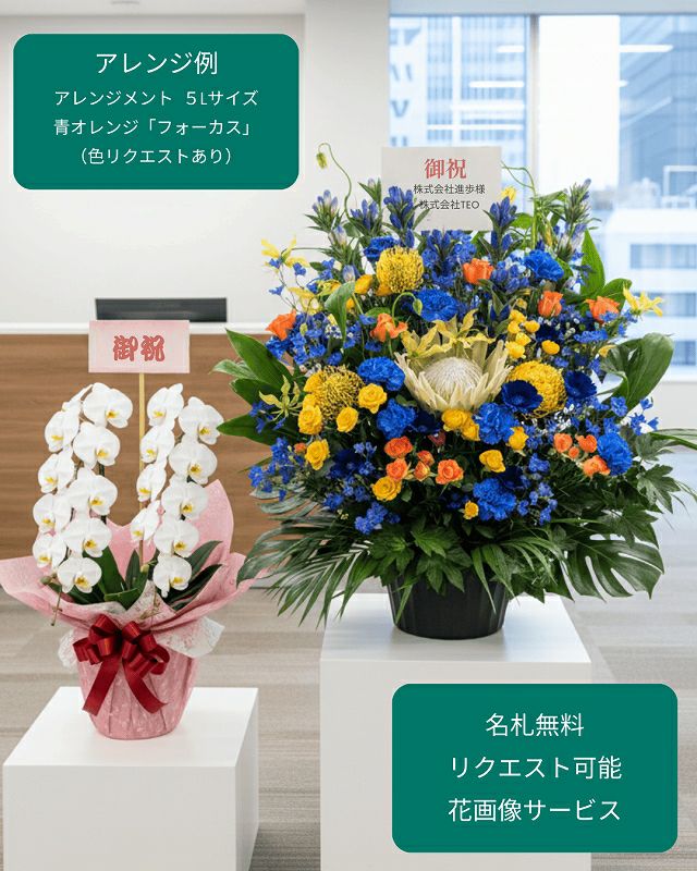 青オレンジのアレンジメント 花ギフト 5Lサイズ （フォーカス