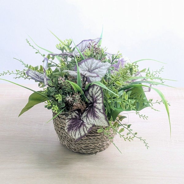 枯れないグリーン　インテリアグリーン