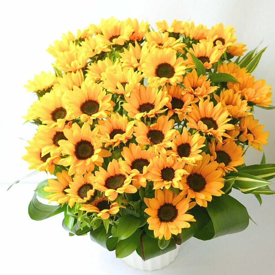 サマーギフト　夏の花ギフト　ひまわりを贈る　ひまわりのプレゼント