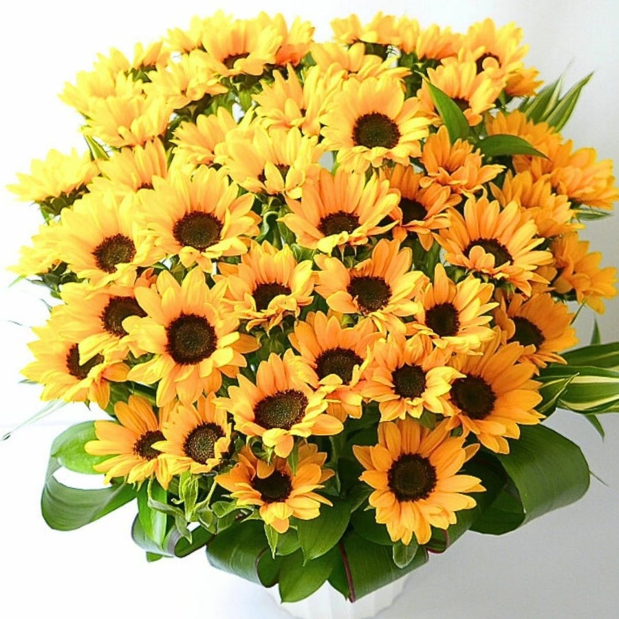 サマーギフト　夏の花ギフト　ひまわりを贈る　ひまわりのプレゼント
