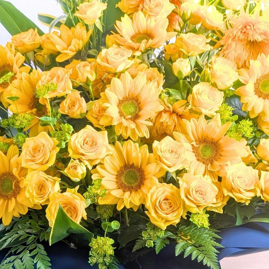 サマーギフト　夏の花ギフト　ひまわりを贈る　ひまわりのプレゼント