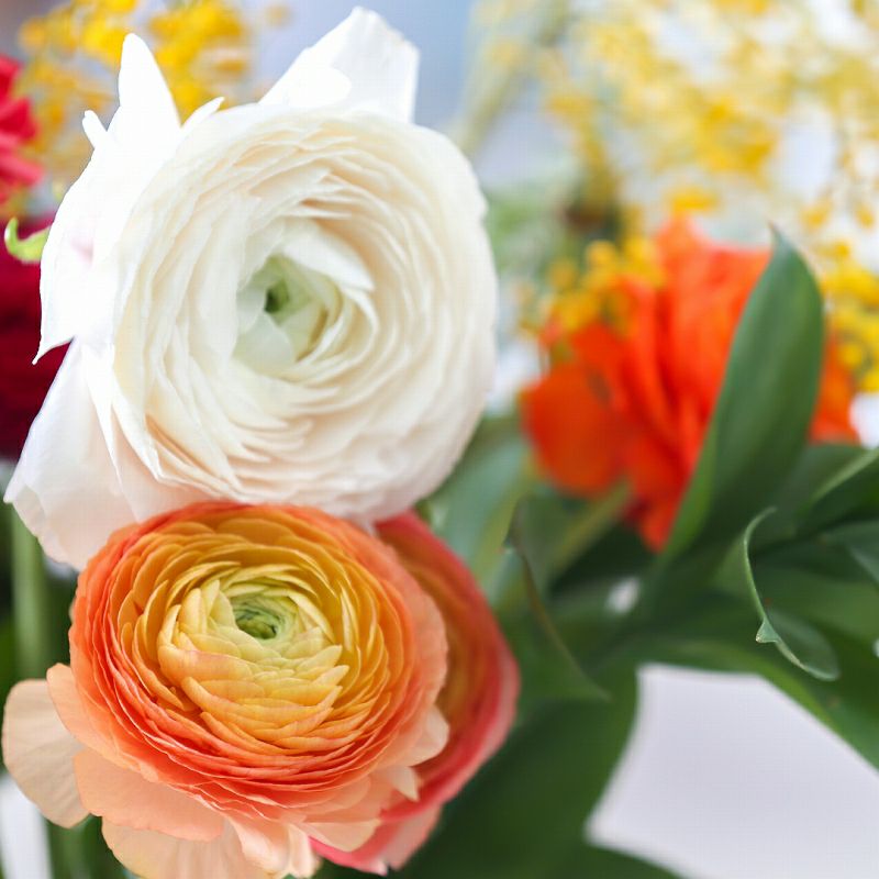 お花の定期便・お花のサブスク。季節めぐりの花（切り花）