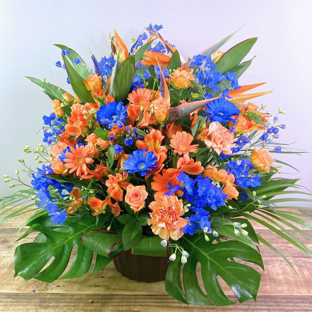 Fleur Élégante フラワーアレンジメント 就任祝いの花ギフト アレンジメント 5Lサイズ （フォーカス