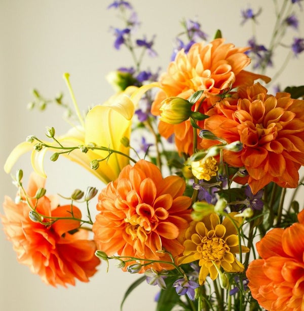 【店主セレクト】今日のいちりん便り