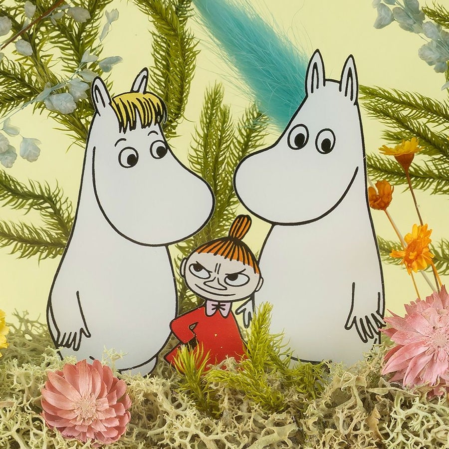 プリザーブドフラワー　 フラワーフレーム「MOOMIN＆FRIENDS」