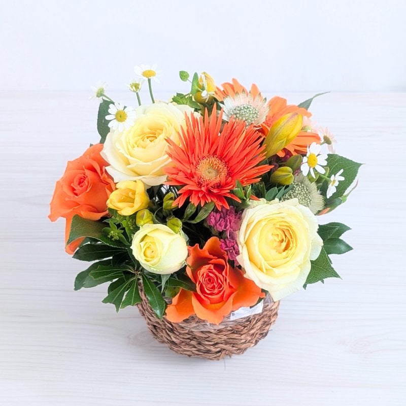 【小さめタイプ】アレンジメント 3800円